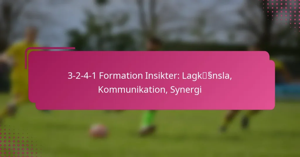 3-2-4-1 Formation Insikter: Lagkänsla, Kommunikation, Synergi