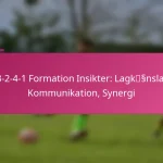 3-2-4-1 Formation Insikter: Lagkänsla, Kommunikation, Synergi