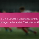 3-2-4-1 Struktur: Matchanpassning, Justeringar under spelet, Taktisk utveckling