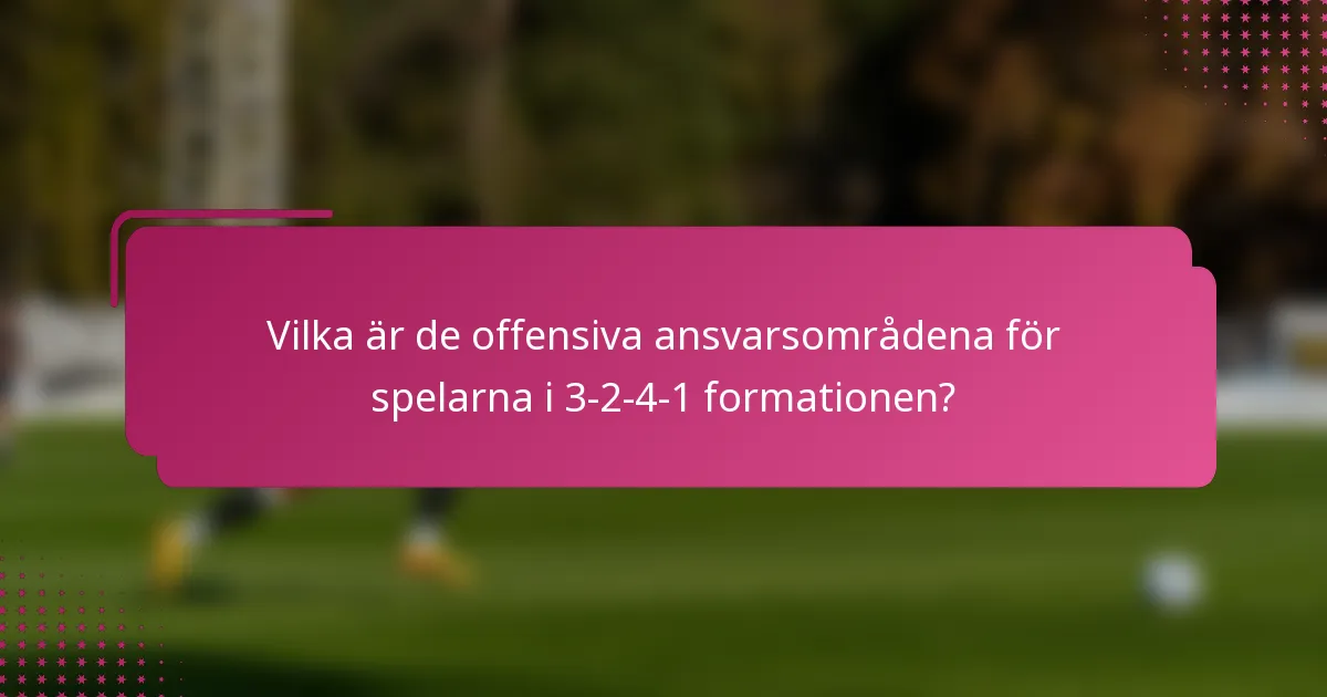 Vilka är de offensiva ansvarsområdena för spelarna i 3-2-4-1 formationen?